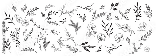  Hand drawn floral ornaments decorative flower leaf and branch for wedding invitation design nature elements vector set