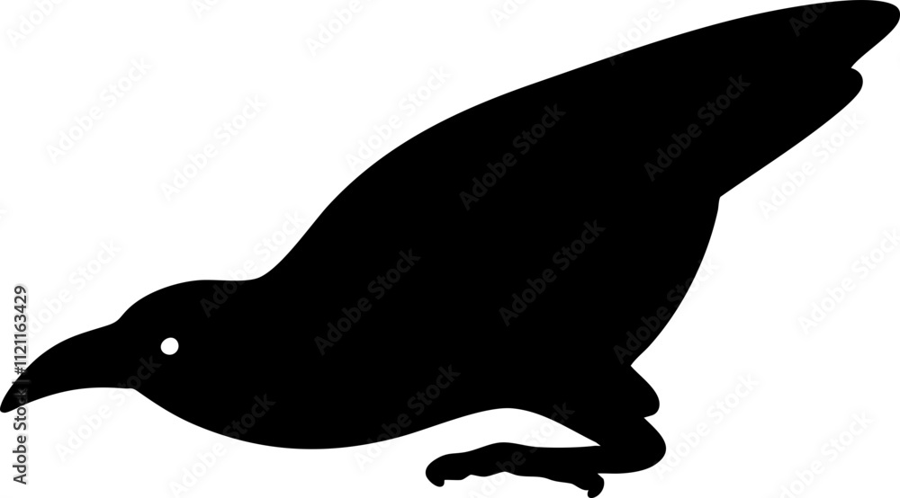 vector illustration of a crow or raven. vector illustration of a crow or raven.