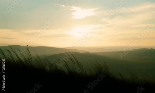 sunset over the field