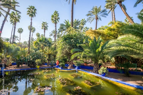 Plant in the Majorelle garden of Marrakesh, Morocco