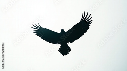 A silhouette of a mighty eagle in flight, its wings spread wide as it soars through the air.