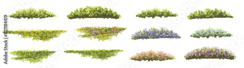 Vertor set of spring blossom tree,blooming plants side view  for landscape elevation and section,eco environment concept design,watercolor shrub illustration,colorful season