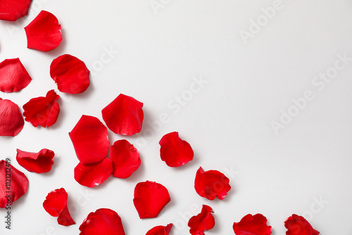Beautiful red rose petals on grey background