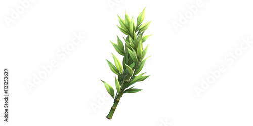 Bamboo branch with green leaves isolated on transparent background