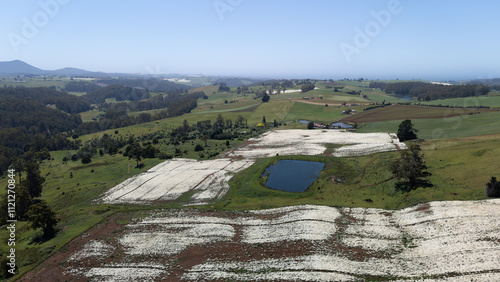  Drone Shot of Crop of Pyrethrum paddocks in Tasmania