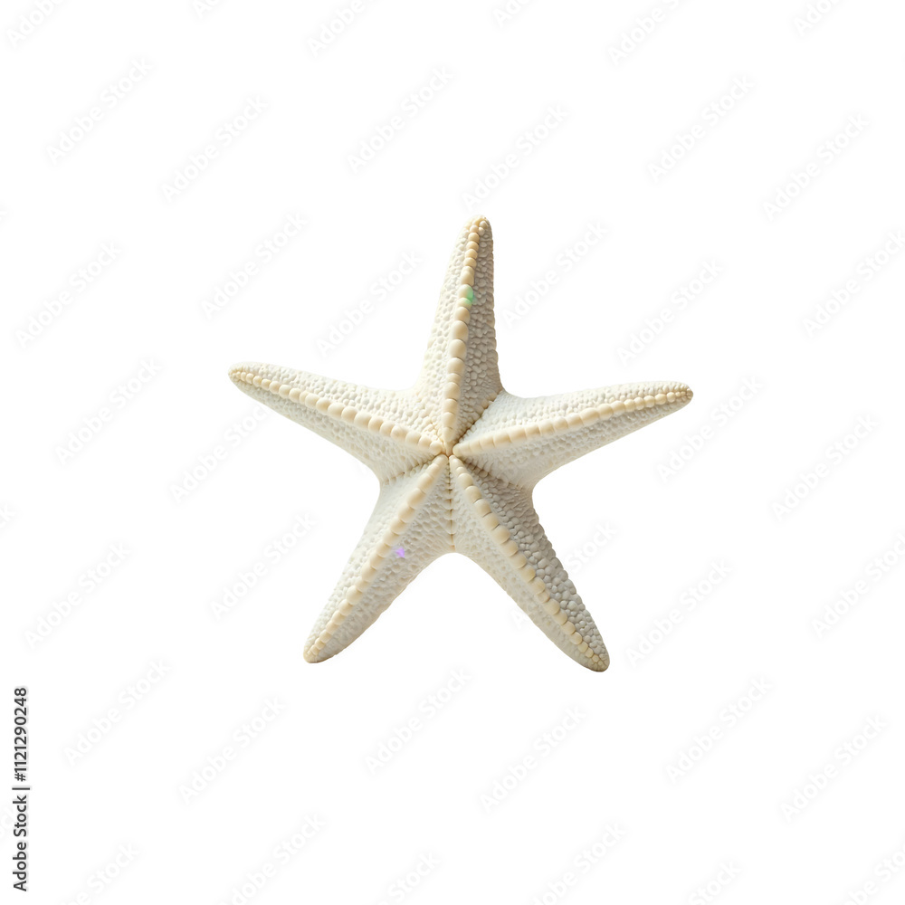 White Starfish, Perfect for Nautical and Beach-Themed Designs, PNG Format White Starfish, Perfect for Nautical and Beach-Themed Designs, PNG Format