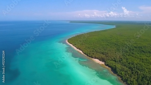 Aerial View of Tranquil Blue Waters Meeting Lush Green Coastal Forest