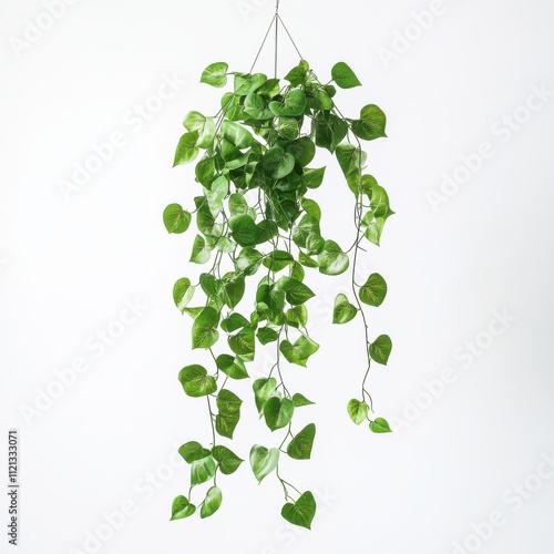 A green plant hanging from a hook