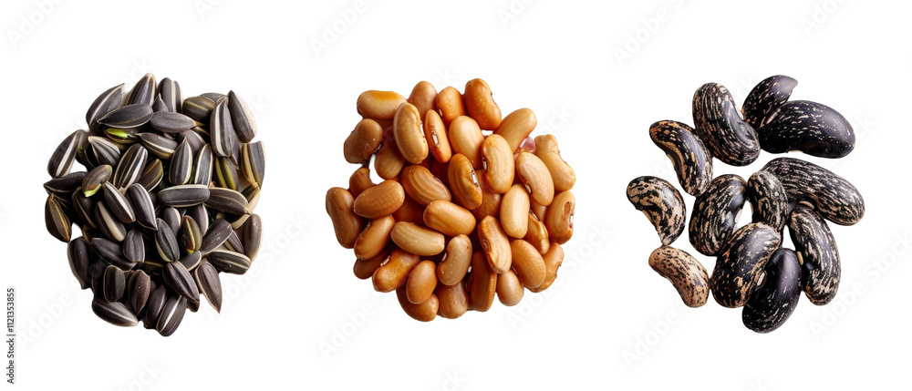 Assortment of sunflower, pinto, and black beans. Assortment of sunflower, pinto, and black beans.
