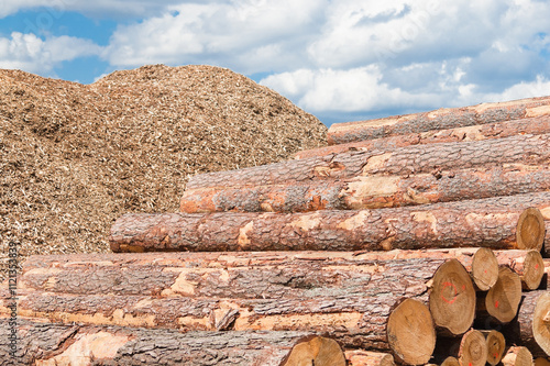 a pile of logs close-up in the background a pile of wood chips and a blue sky photo