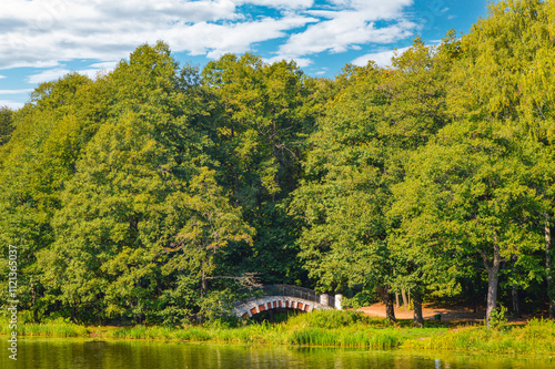 landscape with trees  bridge and blue sky 