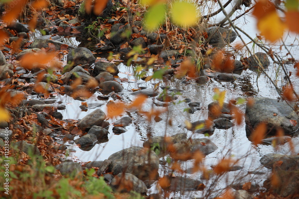 A photograph of water and rocks in a gentle low river, with out of focus foliage in the foreground. Autumnal scene in a park, with autumn leaves and trees, and grey overcast reflections in the water A photograph of water and rocks in a gentle low river, with out of focus foliage in the foreground. Autumnal scene in a park, with autumn leaves and trees, and grey overcast reflections in the water