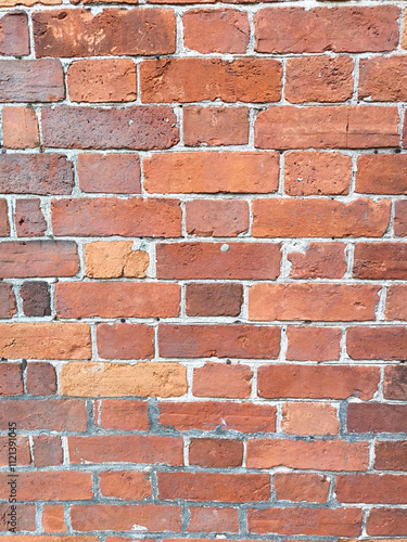 Obraz na płótnie Brick wall w salonie