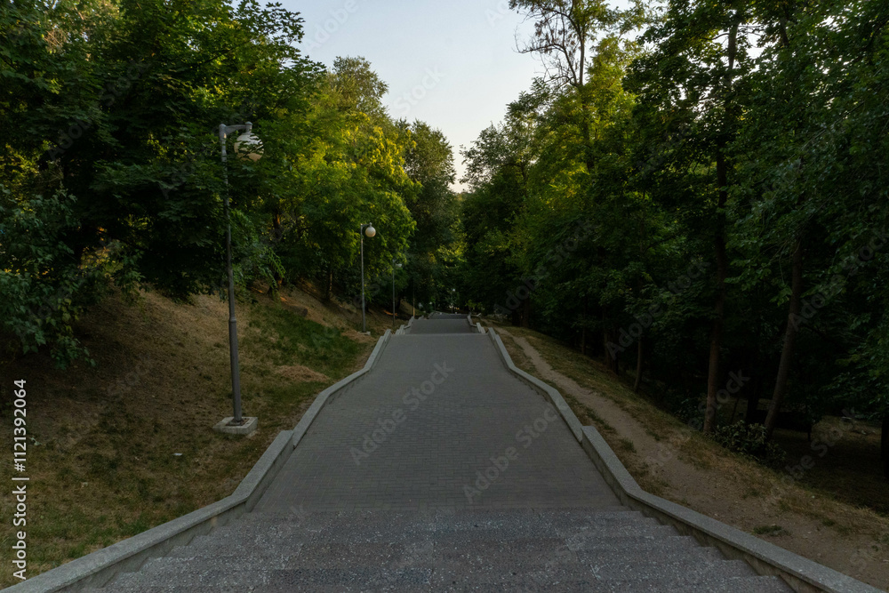 Obraz premium Steps descend gracefully, disappearing amidst the greenery of the park