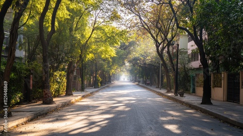 Wallpaper Mural Serene Morning Street in Mexico City Torontodigital.ca