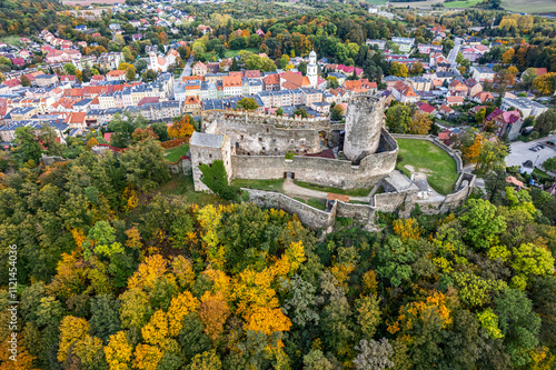 Zamek Bolków photo