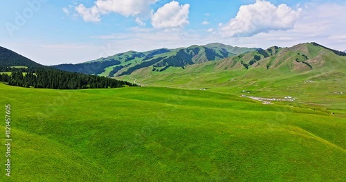 Wallpaper Mural Green grassland natural landscape in summer. Beautiful grassland pasture scenery in Xinjiang, China. Torontodigital.ca