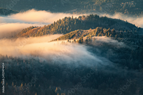 Herbstlicher Nebelmorgen im Schwarzwald