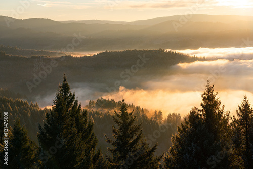 Herbstlicher Nebelmorgen im Schwarzwald