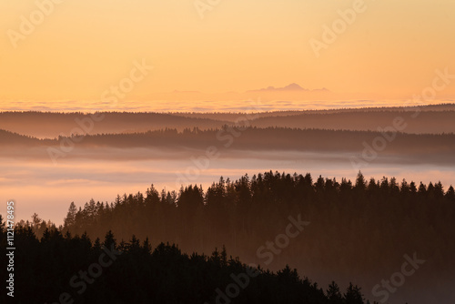 Ausblick vom Brendturm, Furtwangen