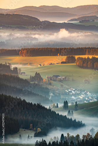 Ausblick vom Brendturm, Furtwangen