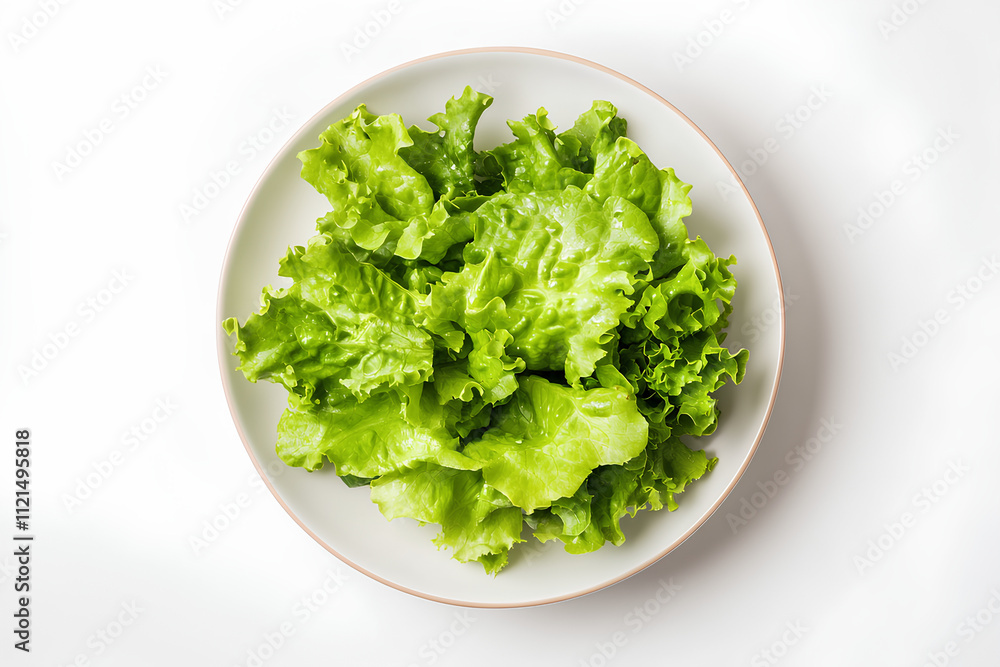 fresh green salad on a plate fresh green salad on a plate