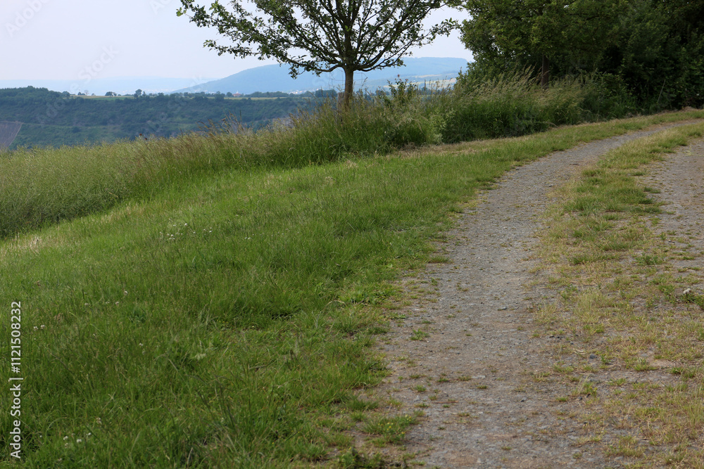 Rheinsteig track on approach to Kamp-Bornhofen - between Saint Goarshausen and Kamp-Bornhofen - Hesse - Germany Rheinsteig track on approach to Kamp-Bornhofen - between Saint Goarshausen and Kamp-Bornhofen - Hesse - Germany