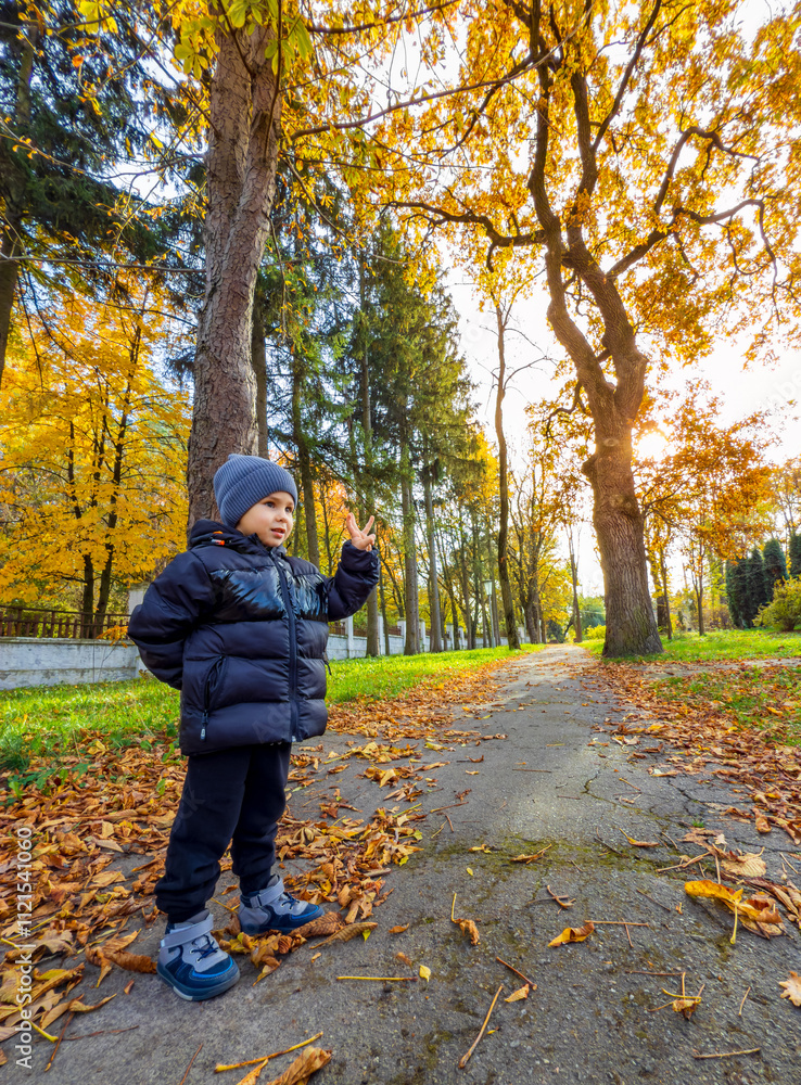 Child enjoying a sunny autumn day in the park. A young boy stands on a leaf-covered path surrounded by vibrant autumn trees, basking in the warm sunlight. Child enjoying a sunny autumn day in the park. A young boy stands on a leaf-covered path surrounded by vibrant autumn trees, basking in the warm sunlight.