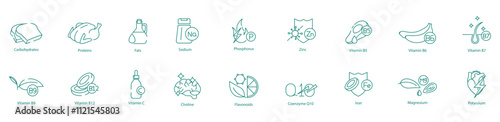 Essential Nutrients Icon Set - Carbohydrates, Proteins, Fats, Sodium, Phosphorus, Zinc, B5, B6, B7, B9, B12, C, Choline, Flavonoids, Coenzyme-10, Iron, Magnesium, and Potassium for Health and Energy 