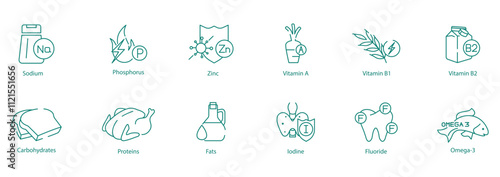 Comprehensive Nutrients Icon Set - Sodium, Phosphorus, Zinc, Vitamin A, B3, B1, B2, Carbohydrates, Proteins, Fats, Iodine, Fluoride, and Omega-3 for Health and Nutrition