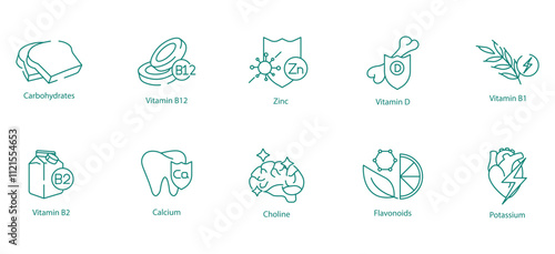 Essential Health Icon Set - Vitamins B12, D, B1, B2, Carbohydrates, Zinc, Calcium, Choline, Flavonoids, and Potassium for Balanced Nutrition
