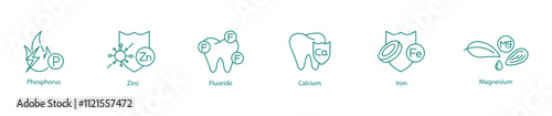 Mineral Essentials Icon Set - Phosphorus, Zinc, Fluoride, Calcium, Iron, Magnesium, and Vitamins for Strong Bones