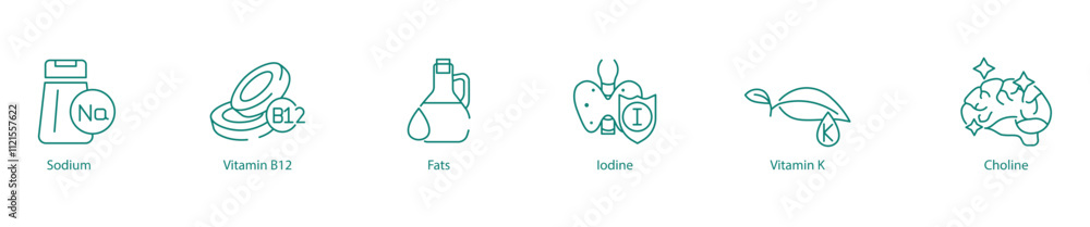 Essential Nutrients Icon Set - Sodium, Vitamin B12, Fats, Iodine, Vitamin K, and Choline for Balanced Health Essential Nutrients Icon Set - Sodium, Vitamin B12, Fats, Iodine, Vitamin K, and Choline for Balanced Health