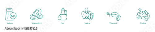 Essential Nutrients Icon Set - Sodium, Vitamin B12, Fats, Iodine, Vitamin K, and Choline for Balanced Health