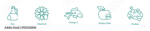 Nutrient Rich Icon Set - Fats, Vitamin E, Omega-3, Dietary Fibers, and Choline for Balanced Nutrition