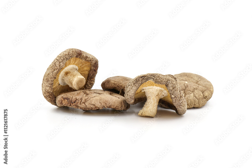 Dried Shiitake Mushroom on a white background Dried Shiitake Mushroom on a white background