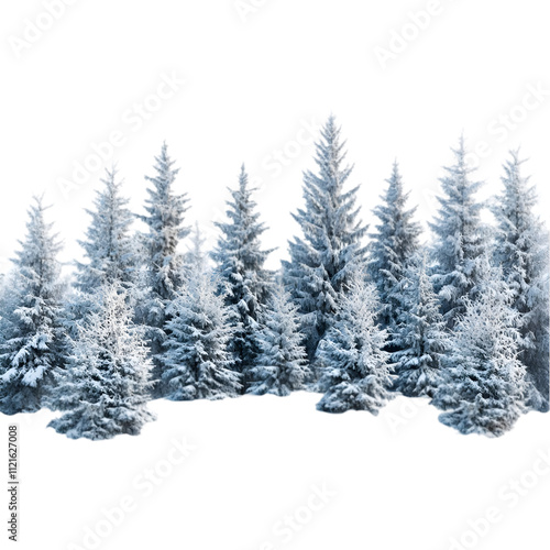 A snow-covered forest scene, isolated on transparent background