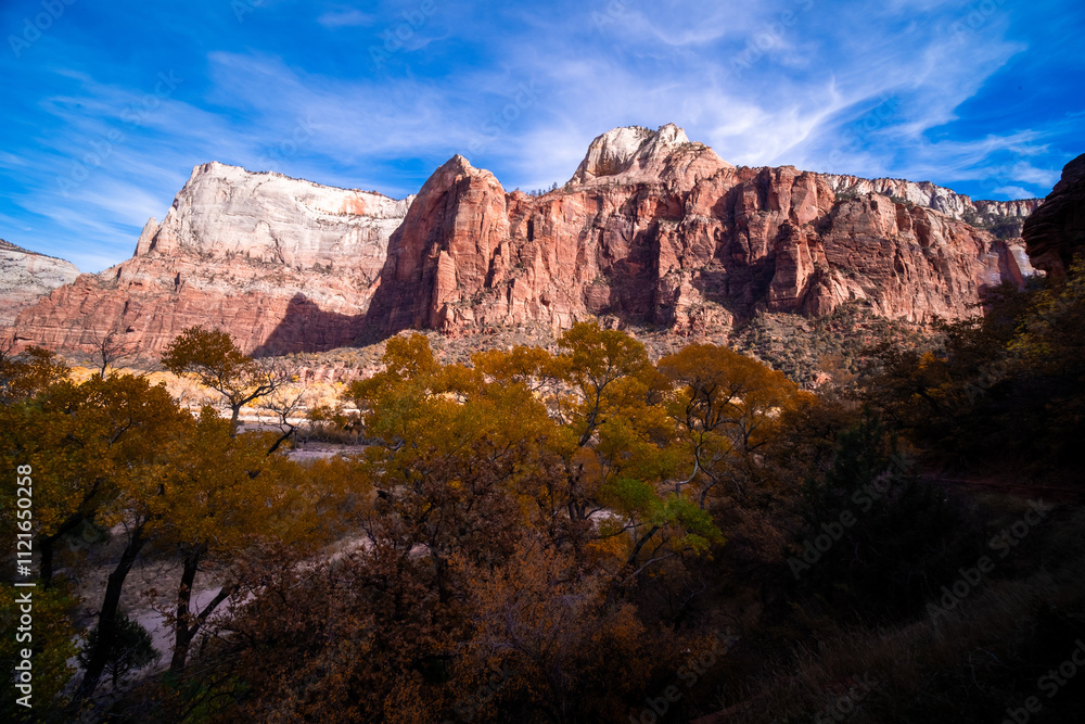 Beautiful nature in Zion national Park, Utah, USA
Beautiful nature in Zion national Park, Utah, USA