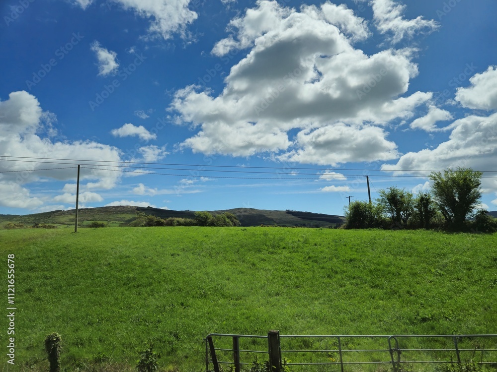Fototapeta premium Cumulus Clouds Over Grassland Landscape