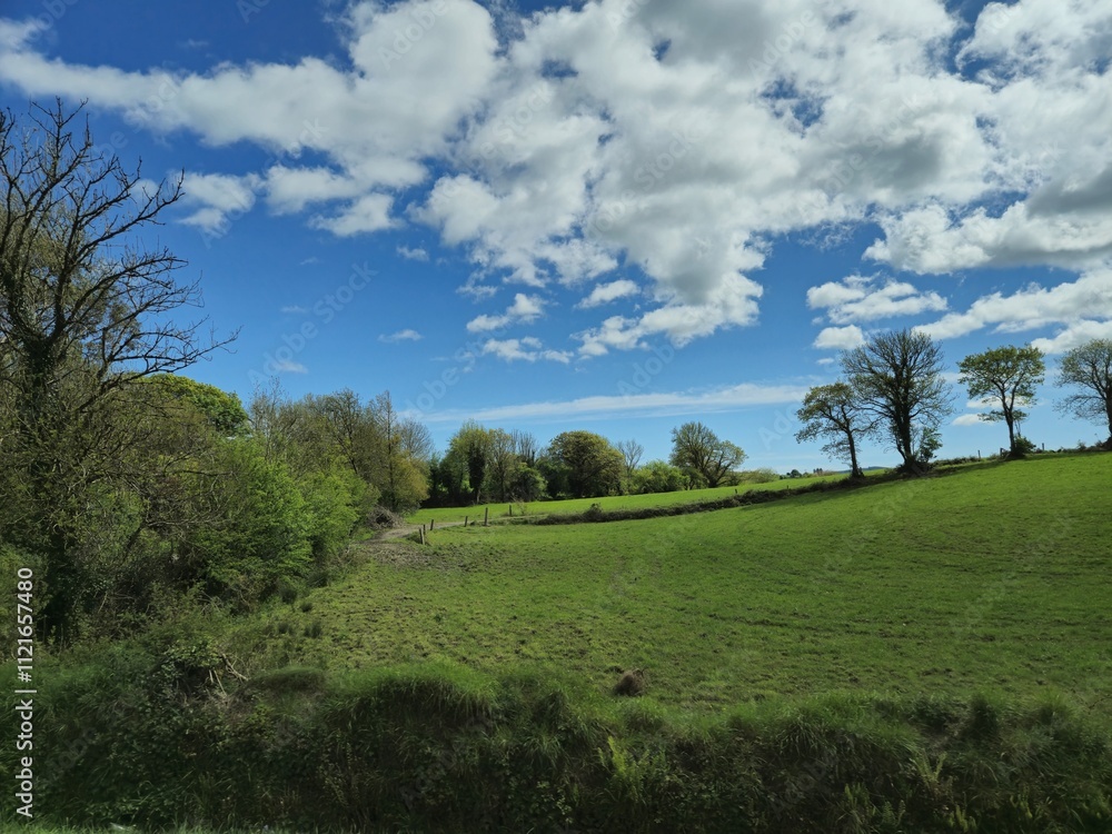 Cumulus Clouds Over Highland Landscape with Trees and Grass Cumulus Clouds Over Highland Landscape with Trees and Grass
