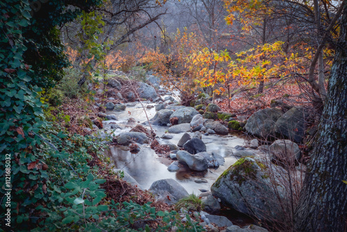 Section of the Entrerios route with the Zarzoso river and the riverside forest in the town of El Arenal, in Avila, Castilla y León, Spain, in autumn