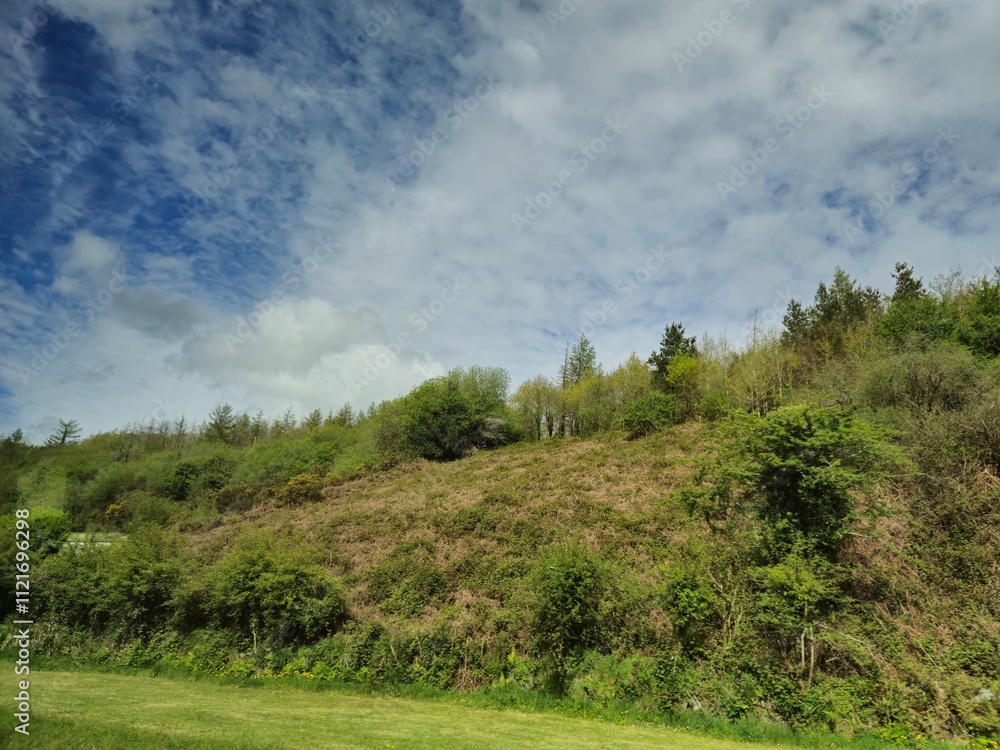 Obraz premium Natural Landscape with Cumulus Clouds and Grassland Slope