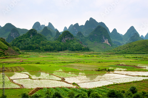 Rice fields where mountains are reflected in Yangshuo, Sichuan, China