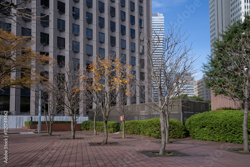 Photography Street view of Shinjuku skyscrapers, Tokyo, Japan.