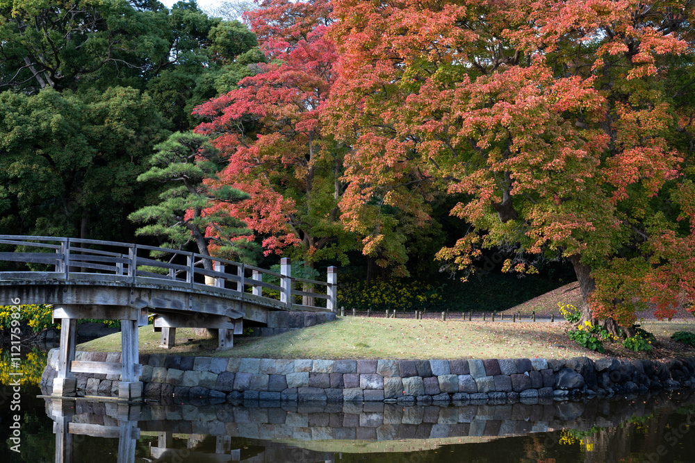 Fototapeta premium Japan, Tokyo, Hamarikyu Garden in momiji season.
