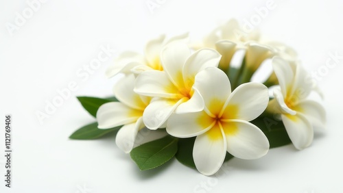 A bunch of white and yellow flowers with green leaves