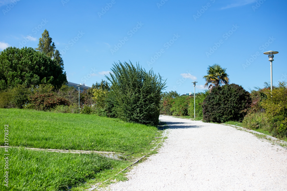Path in the park with green grass, trees and lampposts Path in the park with green grass, trees and lampposts
