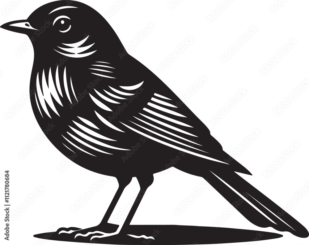 Fototapeta premium Robin Silhouette Clipart Design