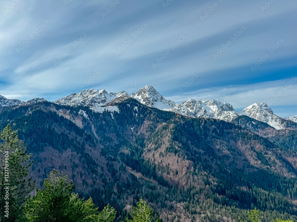 Panoramic view of snow capped mountain peaks of Julian Alps seen from Monte Nebria Cima Est, Friuli Venezia Giulia, Italy. Wanderlust in alpine wilderness in early spring. Hills covered with forest Panoramic view of snow capped mountain peaks of Julian Alps seen from Monte Nebria Cima Est, Friuli Venezia Giulia, Italy. Wanderlust in alpine wilderness in early spring. Hills covered with forest