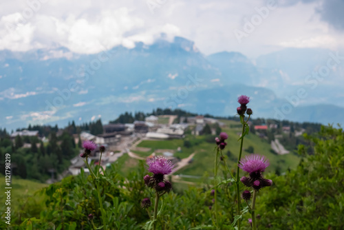 Selective focus on purple thistle flower in alpine resort town Vason with panoramic view of cloud covered mountain peaks of Garda Prealps, Trentino Alto Adige, Italy. Hiking on cloudy day near Trento photo